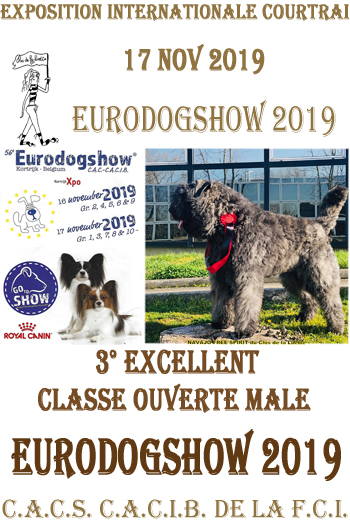 NAVAJO du Clos de la Luette EURODOGSHOW 2019 